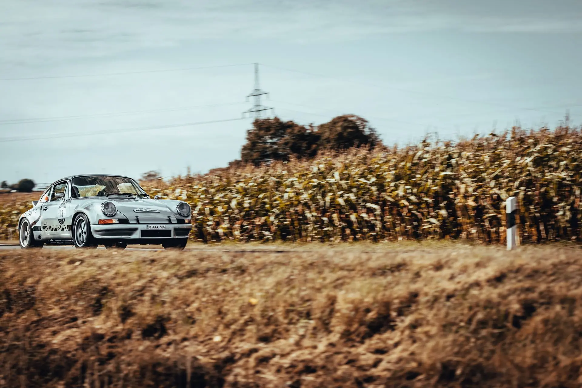 Gray Porsche 911 Carrera
