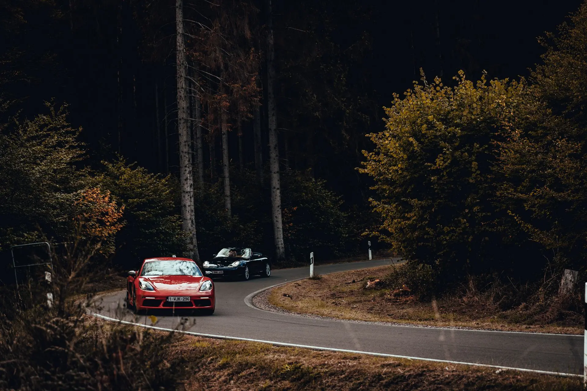 Red Porsche Cayman forest