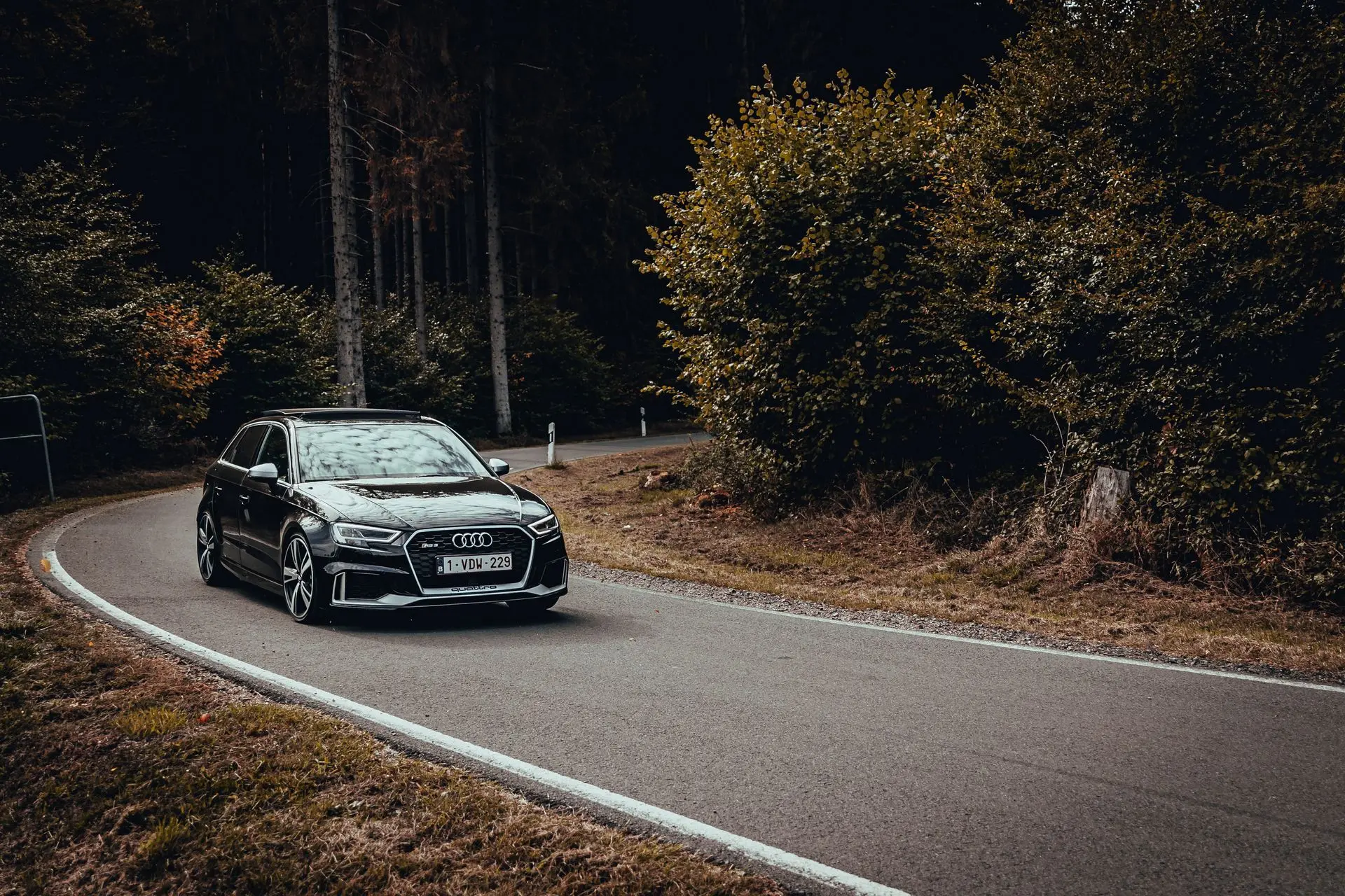 Black Audi RS3 in the forest