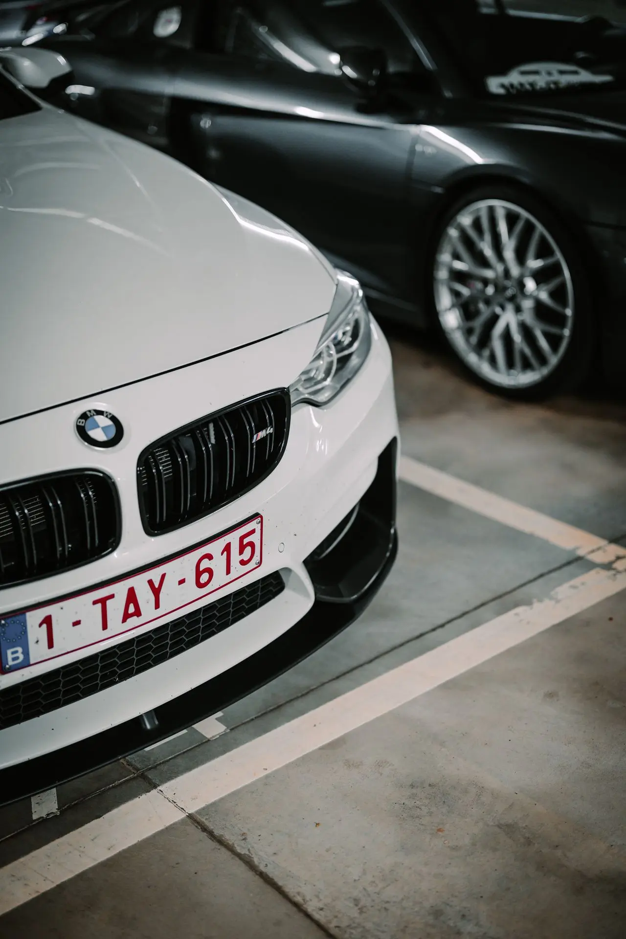 White BMW M4 1TAY615