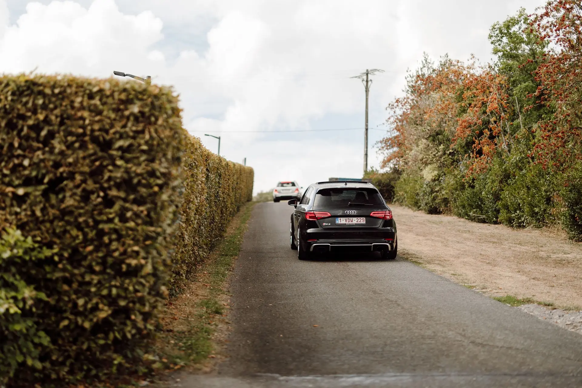 Black Audi S3 driving next to hedge